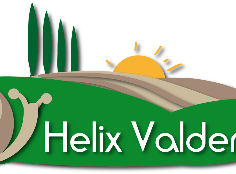 HELIX VALDERA