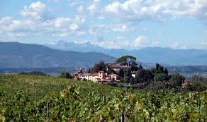 AZIENDA AGRICOLA SAN GERVASIO