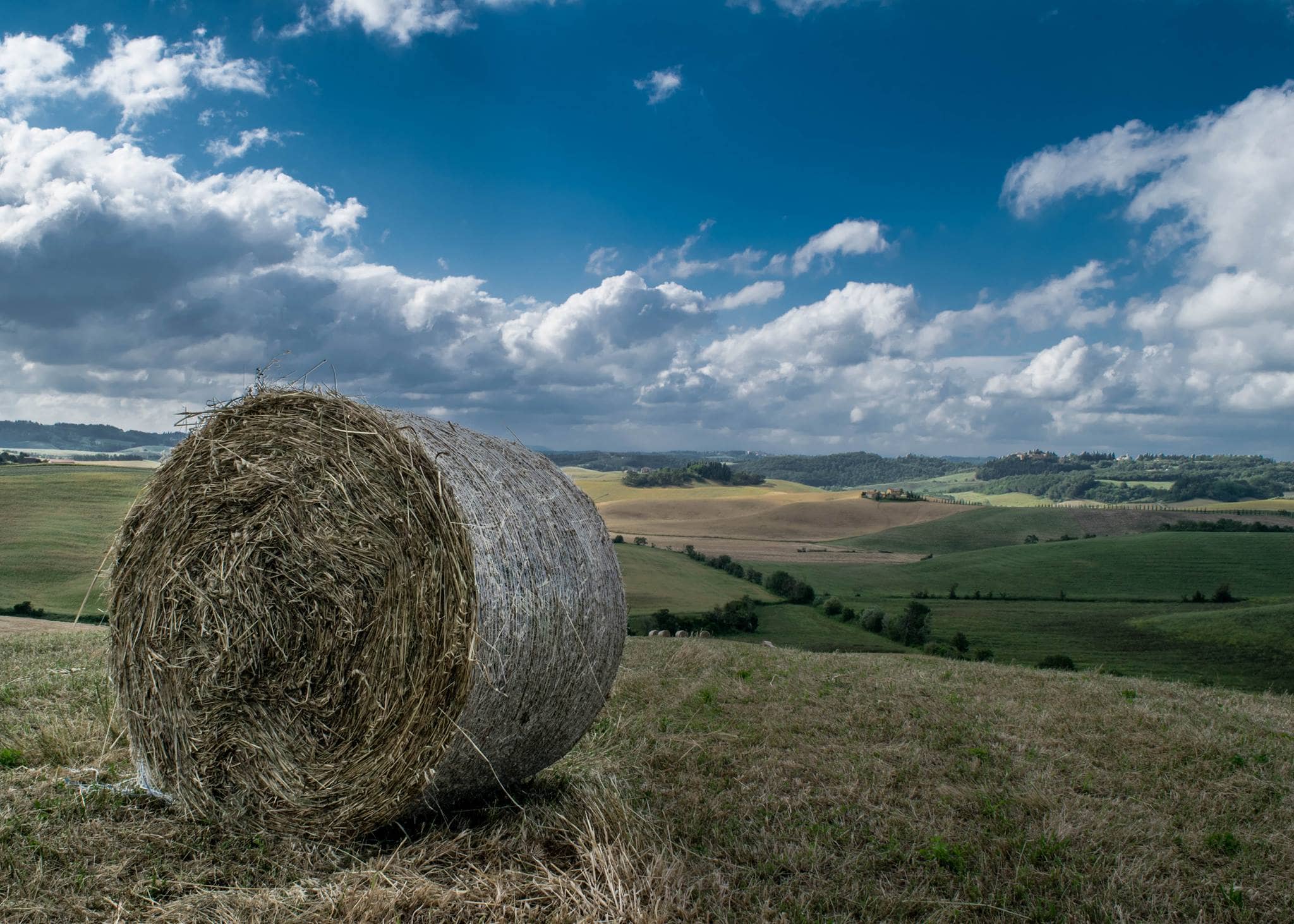 VANNINI IN VALDERA TUSCANY