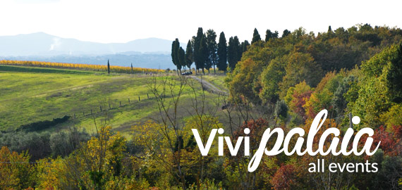 vivi_palaia_en
